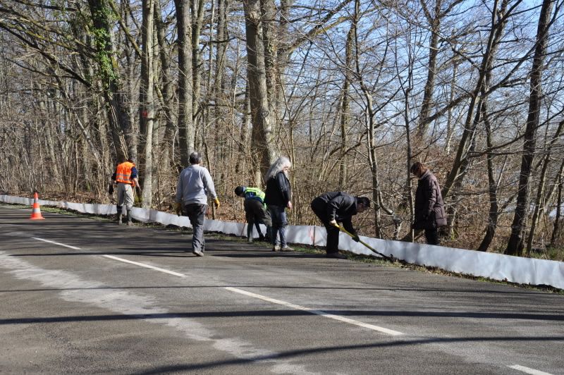 2013 02 25 Montage du crapaudrome 26